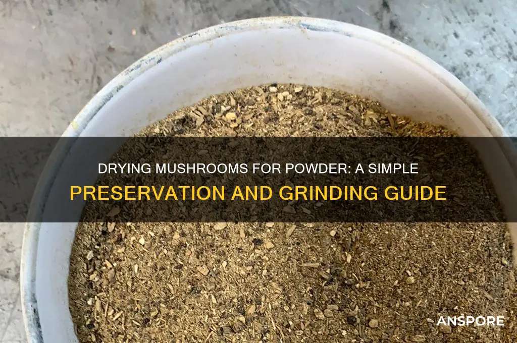 can you dry mushrooms and then grind to a powder