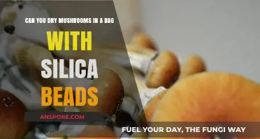 Drying Mushrooms with Silica Beads: A Practical Preservation Method