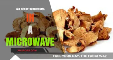 Microwave Drying Mushrooms: Quick Method or Culinary Mistake?