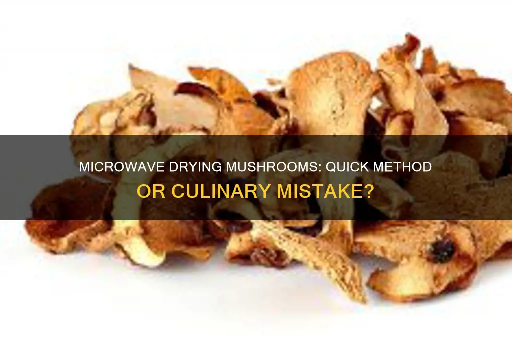 can you dry mushrooms in a microwave