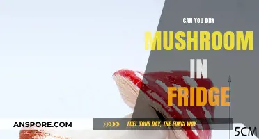 Drying Mushrooms in the Fridge: A Simple Preservation Method