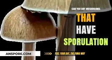 Drying Mushrooms with Sporulation: Best Practices and Preservation Tips