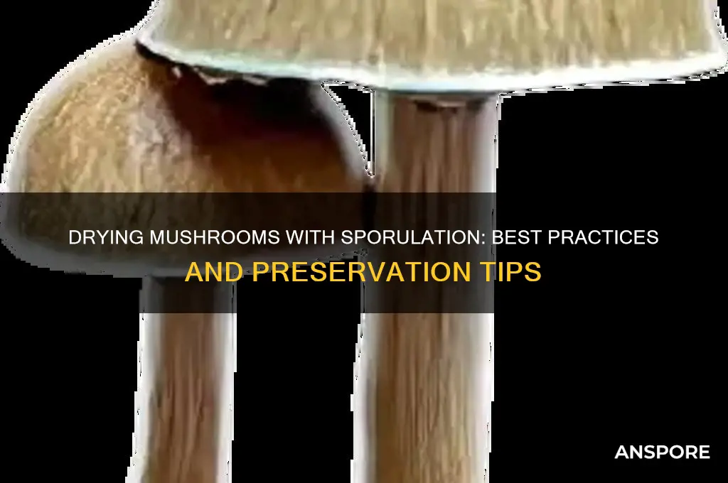 can you dry mushrooms that have sporulation