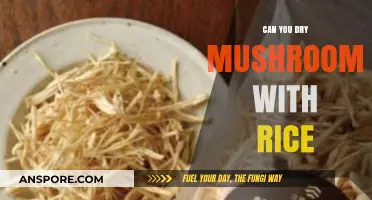 Drying Mushrooms with Rice: A Simple Preservation Technique Explained