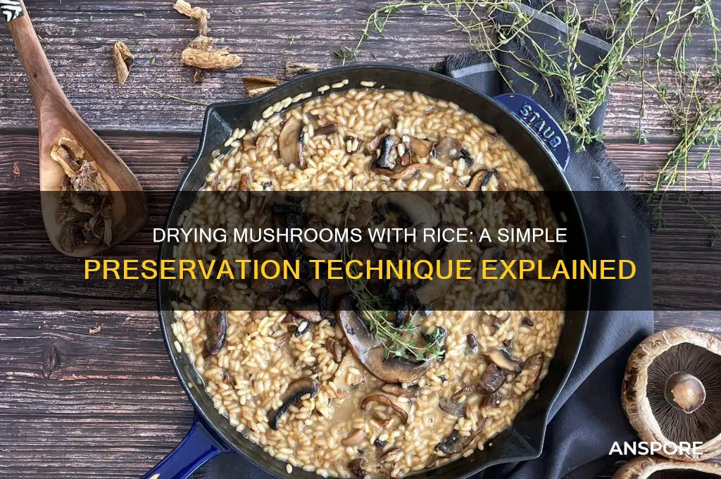 can you dry mushrooms with rice