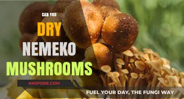 Drying Nemeko Mushrooms: A Comprehensive Guide for Preservation and Flavor