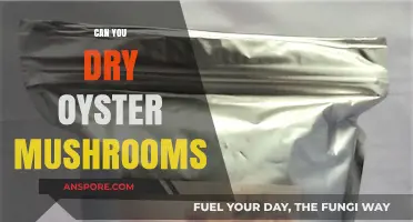 How to Dry Oyster Mushrooms: A Simple Preservation Guide