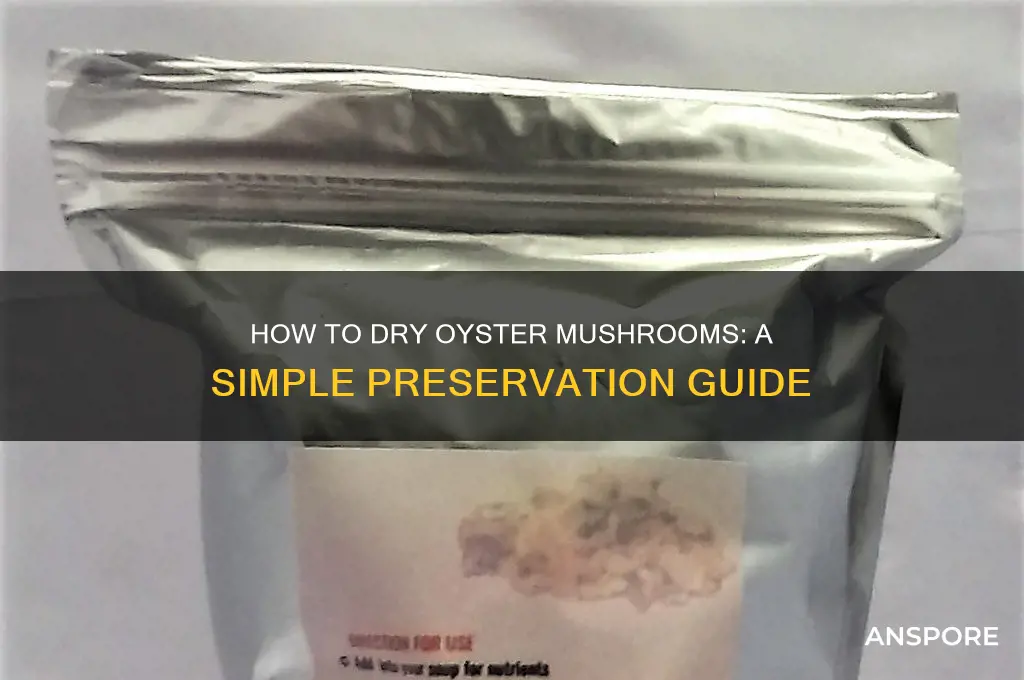 can you dry oyster mushrooms