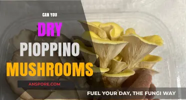 Drying Pioppino Mushrooms: A Simple Guide to Preserving Flavor