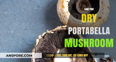 How to Dry Portabella Mushrooms: A Simple Preservation Guide