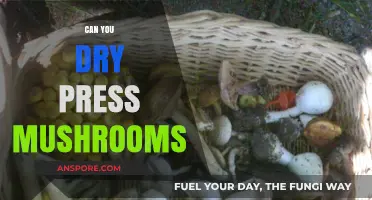 Drying vs. Pressing Mushrooms: Which Method Preserves Best?