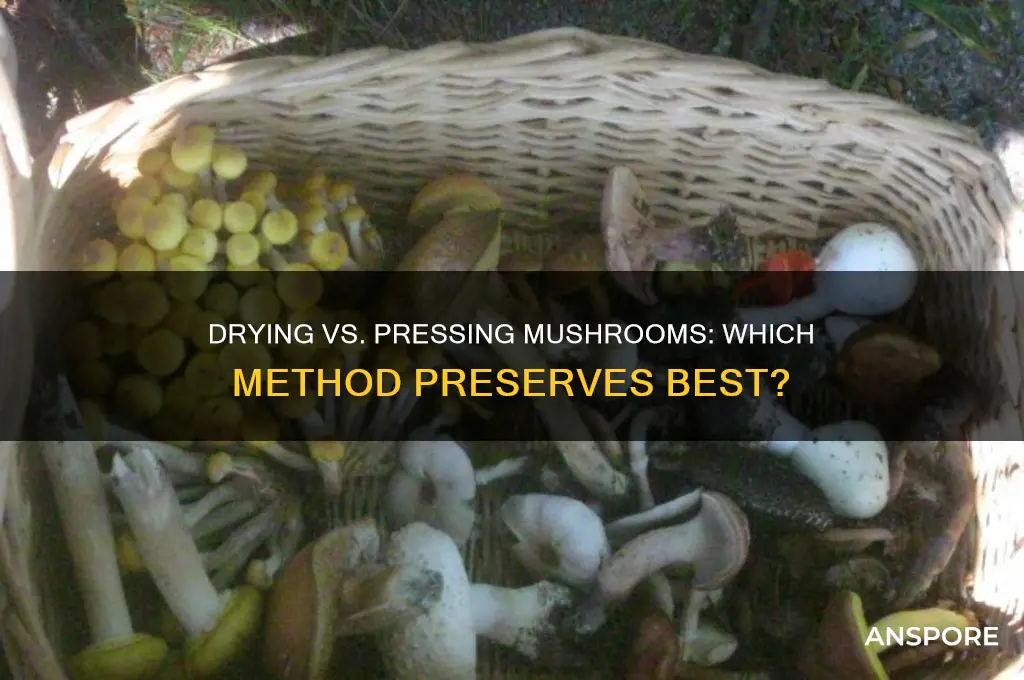 can you dry press mushrooms