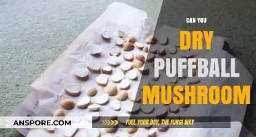 Drying Puffball Mushrooms: A Simple Preservation Guide for Foragers