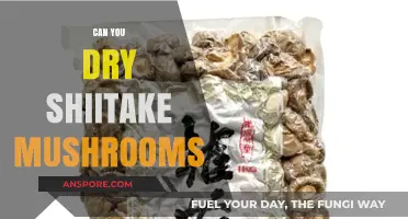 How to Properly Dry Shiitake Mushrooms for Long-Term Storage