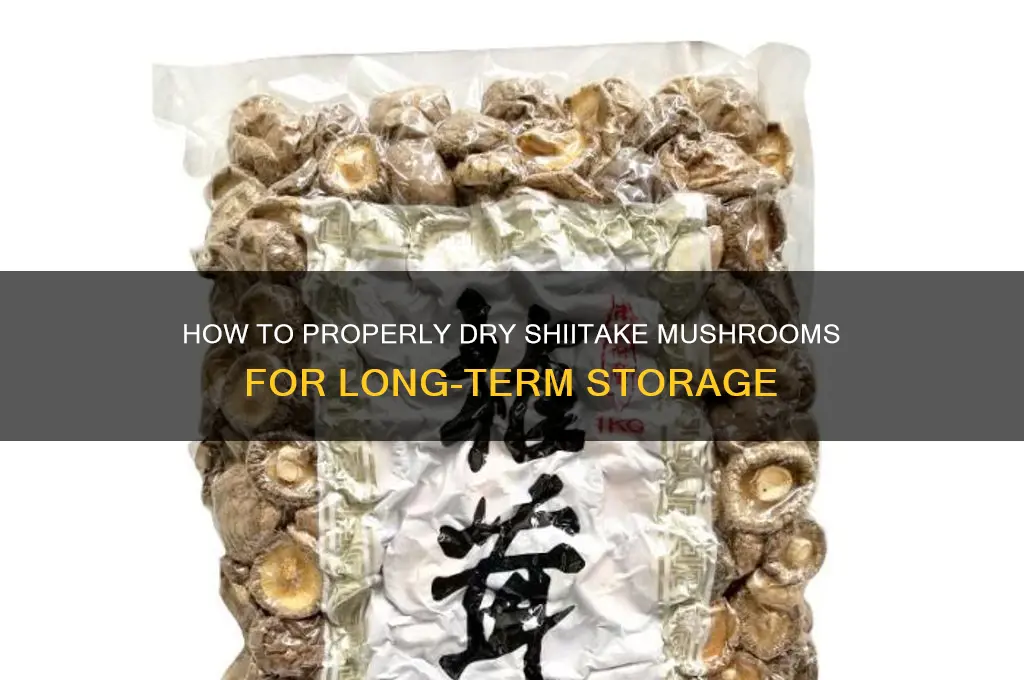 can you dry shiitake mushrooms