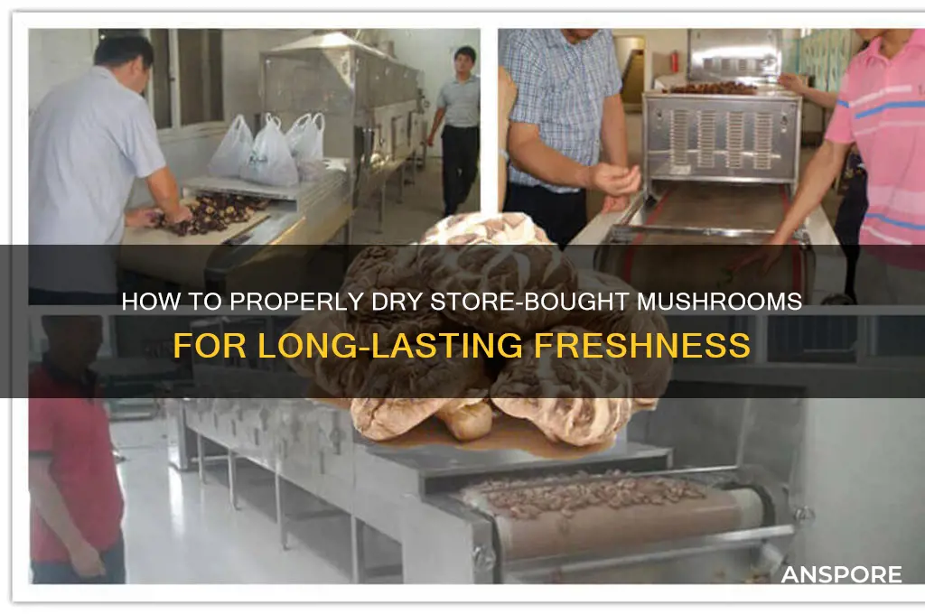 can you dry store bought mushrooms