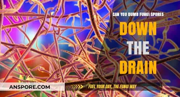 Can You Safely Dispose of Fungal Spores Down the Drain?