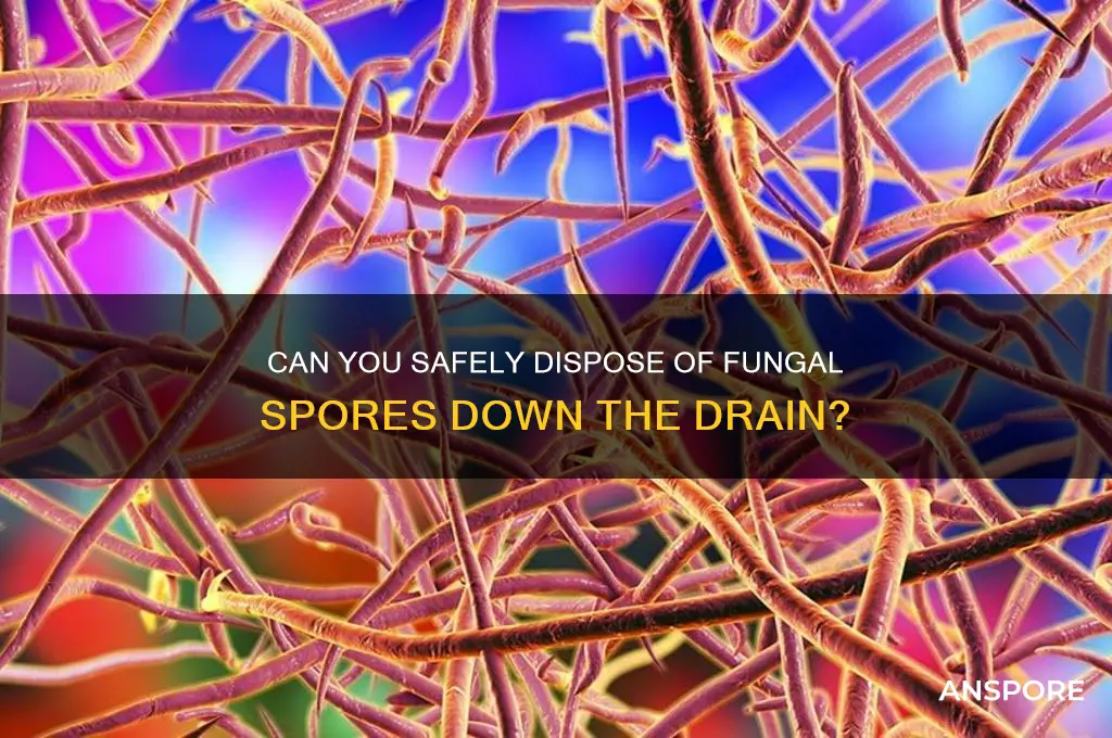 can you dumb fungi spores down the drain