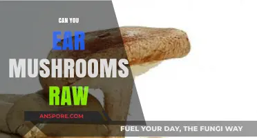 Can You Eat Mushrooms Raw? Safety, Benefits, and Risks Explained