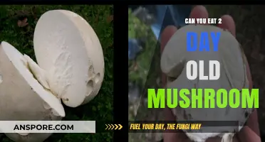 Are Two-Day-Old Mushrooms Safe to Eat? A Quick Guide