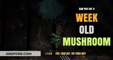 Are Two-Week-Old Mushrooms Safe to Eat? A Guide