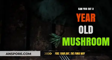 Are Two-Year-Old Mushrooms Safe to Eat? Risks Explained