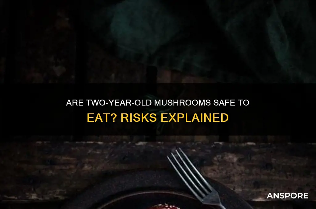 can you eat 2 year old mushrooms