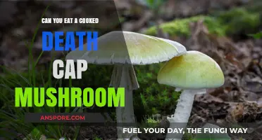 Eating Cooked Death Cap Mushrooms: Deadly Mistake or Safe Practice?