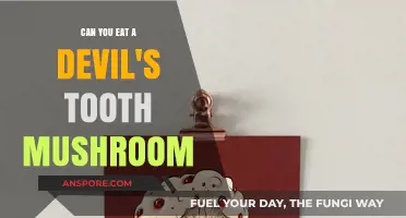 Can You Eat a Devil's Tooth Mushroom? Risks and Facts