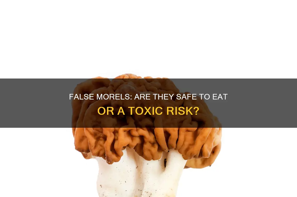 can you eat a false morel mushroom