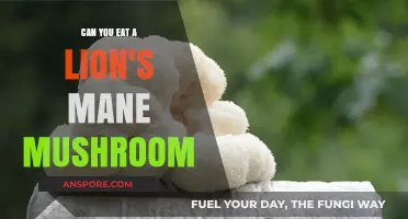 Can You Eat Lion's Mane Mushroom? Benefits, Risks, and Preparation Tips