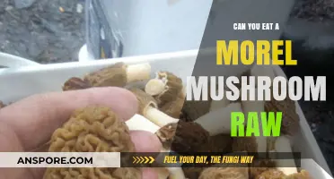 Can You Eat Morel Mushrooms Raw? Risks and Safe Preparation Tips