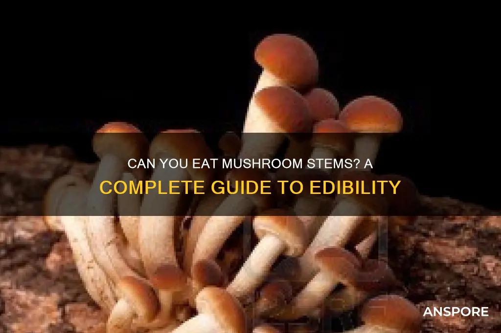 can you eat a mushroom stem