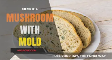Can You Eat a Mushroom with Mold? Risks and Safety Tips
