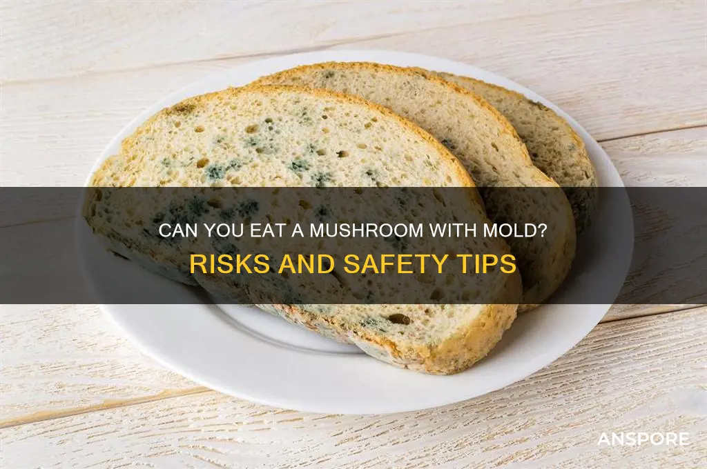 can you eat a mushroom with mold