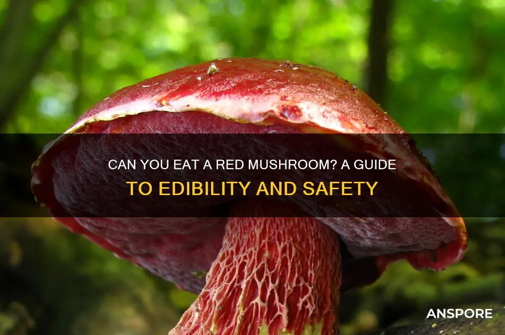 can you eat a red mushroom