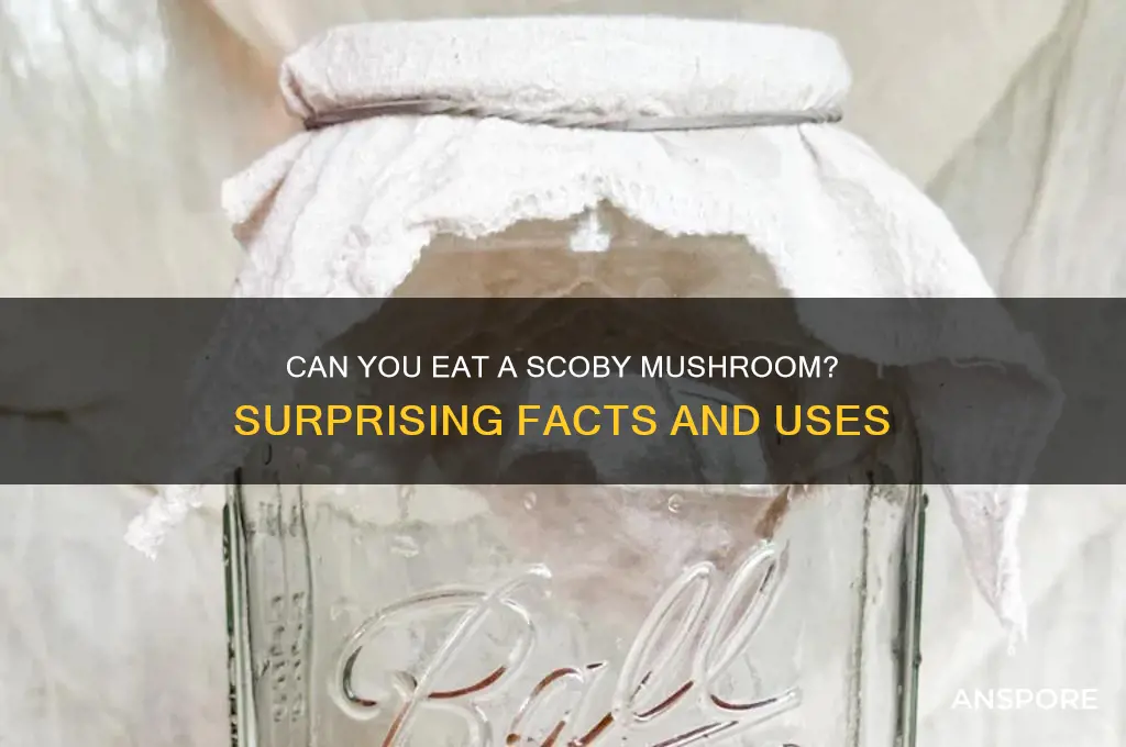 can you eat a scoby mushroom