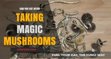 Eating After Magic Mushrooms: Safe Practices and Timing Explained