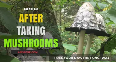 Eating After Mushroom Consumption: Safe Practices and Timing Explained