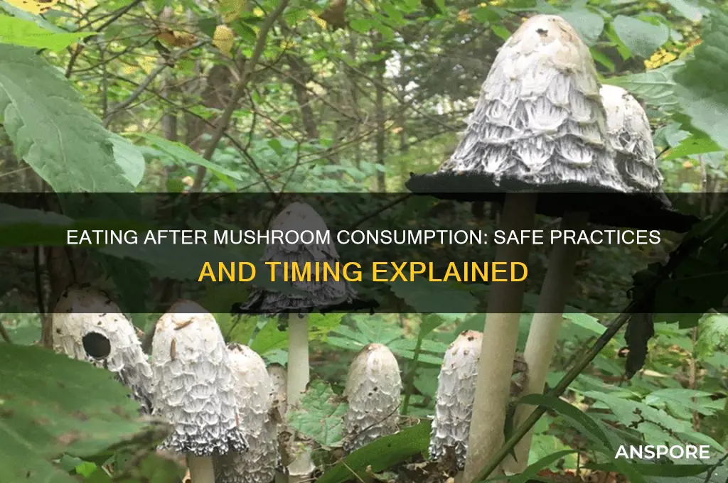 can you eat after taking mushrooms