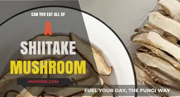 Can You Eat the Entire Shiitake Mushroom? A Complete Guide