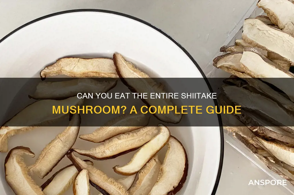 can you eat all of a shiitake mushroom