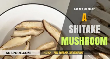 Can You Eat the Entire Shiitake Mushroom? A Complete Guide