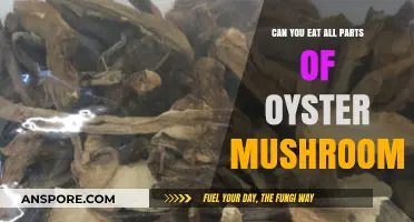 Exploring Oyster Mushrooms: Are All Parts Safe and Edible?