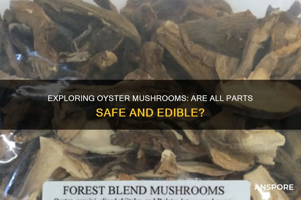 can you eat all parts of oyster mushrooms