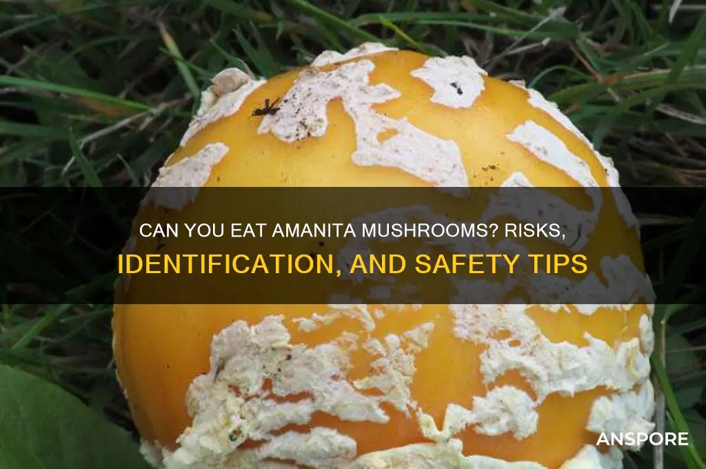 can you eat amanita mushrooms