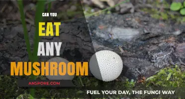 Can You Eat Any Mushroom? A Guide to Safe Foraging