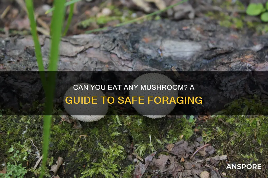can you eat any mushroom