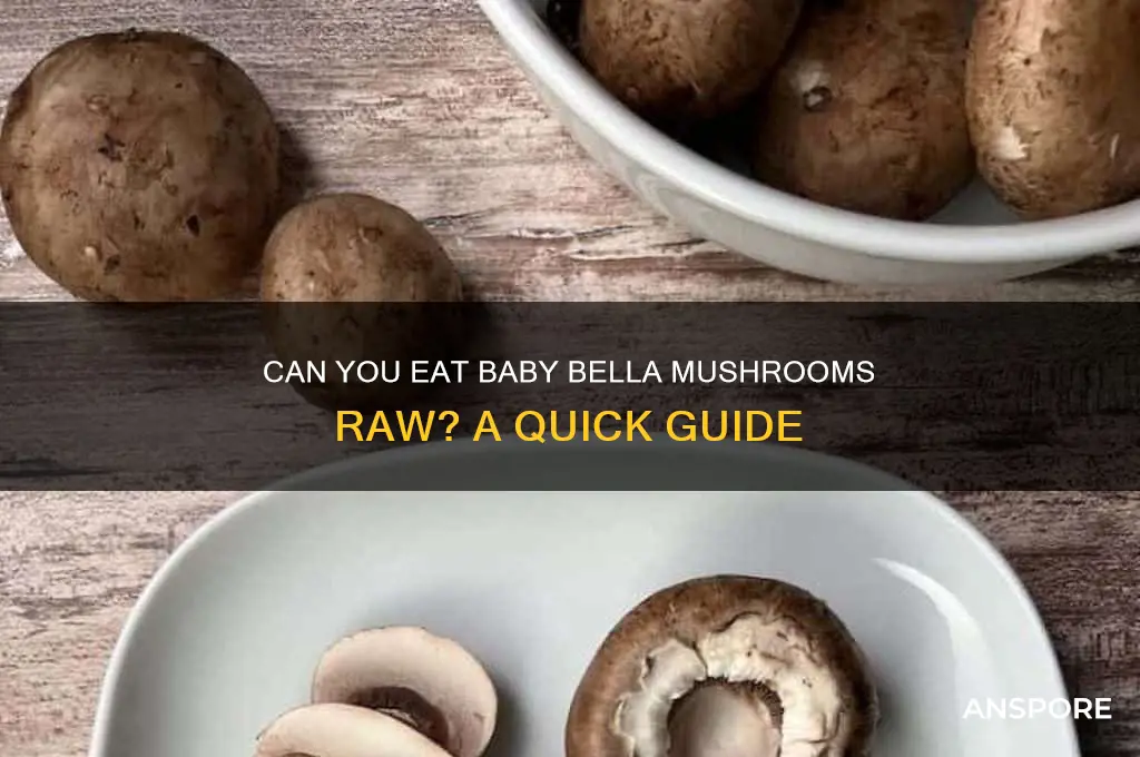 can you eat baby bella mushroom raw