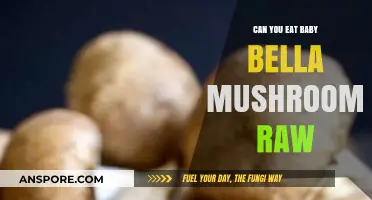 Can You Eat Baby Bella Mushrooms Raw? A Quick Guide